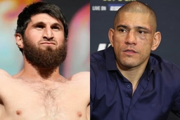 Magomed Ankalaev and Alex Pereira